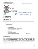 Equilibrio líquido vapor en un sistema binario