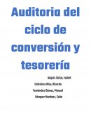 Auditoria del ciclo de conversión y tesorería