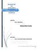 Planificación sanitaria. Ensayo