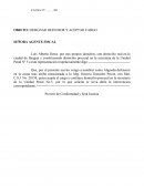 Como designar un Defensor