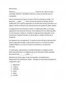 Programa Día de las Naciones Unidas