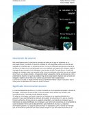 Descripción del anuncio