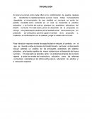 Bases del Curriculo Dominicano