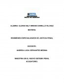 SOLICITUD DE PERITAJES PARA DECLARAR LA INIMPUTABILIDAD