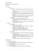 Planeación estratégica caso American Airlines