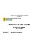 PSICOLOGÍA DEL DESARROLLO HUMANO ACTIVIDAD SESIÓN PRESENCIAL
