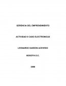 CASO ELECTRONICAX