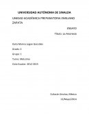 ENSAYO: “LA ANOREXIA”