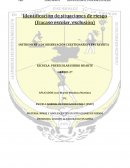 NIÑOS Y ADOLESCENTES EN SITUACIONES DE RIESGO