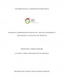 LA CÁPSULA "FÉNIX" COMO ARTEFACTO TECNOLÓGICO