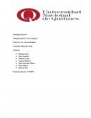 Plan de Terapia Ocupacional y Asesoramiento Educativo.