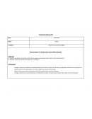 Planificación Mensual PEF