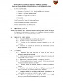 PLAN DE TRABAJO DEL COMITÉ DE SALUD Y NUTRICIÓN- 2014