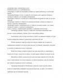 ANTROPOLOGÍA: CONCEPTOS CLAVE INTRODUCCIÓN A LA ANTROPOLOGÍA