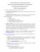 LINEAMIENTOS PARA LA ENTREGA DE TRABAJO