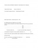 Trabajo Final de Campo: Expreso Lo Bruno S.A.