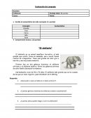 CUENTO Comprensión lectora. (12 puntos) "El elefante"