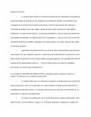 Plan de la empresa lacteos el condor