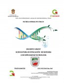 Proyecto de prácticas de biológia