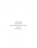 Perfil de auditor Interno