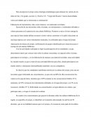 El Joropo como estrategia metodológica