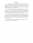 En el presente ensayo se busca esquematizar