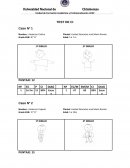TEST DE CI Caso Nº 1