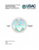 INVESTIGACIÓN DE LA CUENTA, PARTIDA DOBLE Y LIBROS CONTABLES