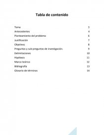 Factores que influyen y consecuencias que afectan en el aumento de la inseguridad en las colonias de Chetumal de 2014 a 2015. Página 2