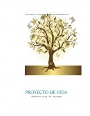 Modelo de Proyecto de vida.