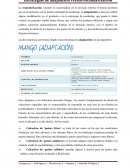 Estrategias de adaptación versus estandarización