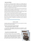 Historia de la Plancha.