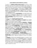 Características de género de la novela