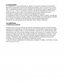 Codificaciones. Derecho Romano