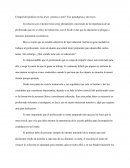 El papel del profesor en las leyes. ¿técnica o arte? Tres paradigmas y dos leyes.