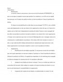 Ensayo creación de empresa un nivel de actuación INTERMEDIO