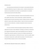 Principios Internacionales del Derecho Ambiental