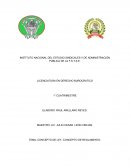 CONCEPTO DE LEY, CONCEPTO DE REGLAMENTO