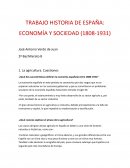 TRABAJO HISTORIA DE ESPAÑA: ECONOMÍA Y SOCIEDAD (1808-1931)