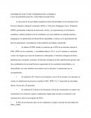 INFORME DE EJECUCIÓN COORDINACIÓN ACADÉMICA