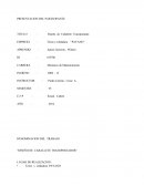 Diseño de Caballete Transportador