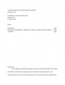 Formulacion de proyecto “ANIMACIONES DE CUMPLEAÑOS INFANTILES”