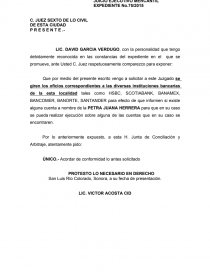 JUICIO EJECUTIVO MERCANTIL - DENUNCIA.. Página 1