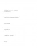 La presencia de un sistema unitario integral regulador de las manifestaciones sociales.