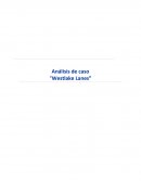 Avance trabajo westlake