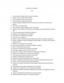 Cuestionario del Certamen