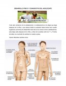 DESARROLLO FÍSICO Y COGNOSCITIVO DEL ADOLECENTE