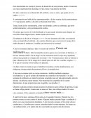 Embrion el proceso de desarrollo de una persona