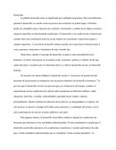 Estructura económica y desarollo