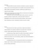 Protocolo mejora continua